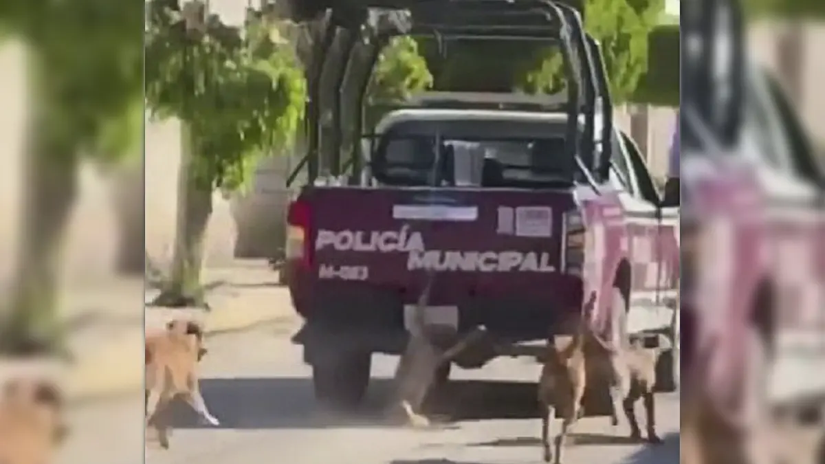 VIDEO: Patrulla de San Felipe Xochiltepec arrastra a un perro