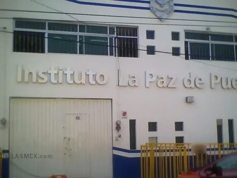 Diseccionan animales vivos en el Instituto La Paz de Puebla
