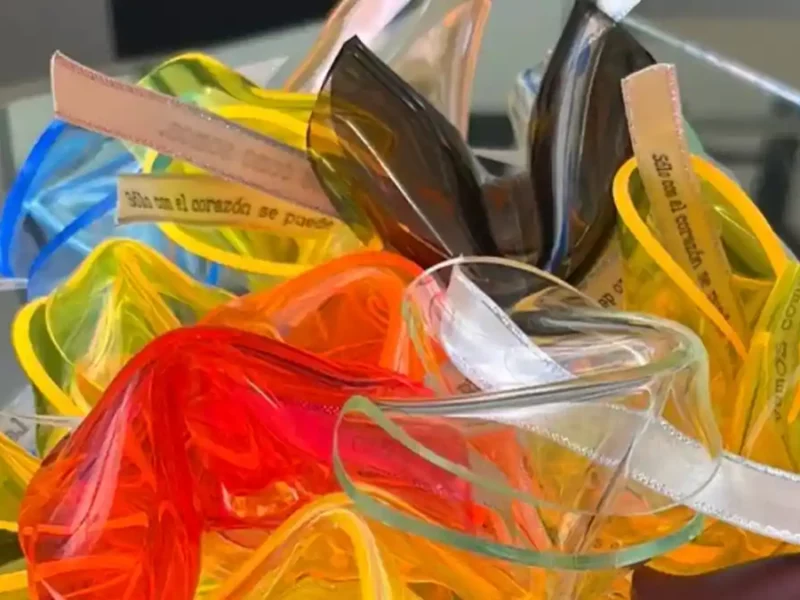 Bolsas Fortune Cookies de la artista Nora Adame.