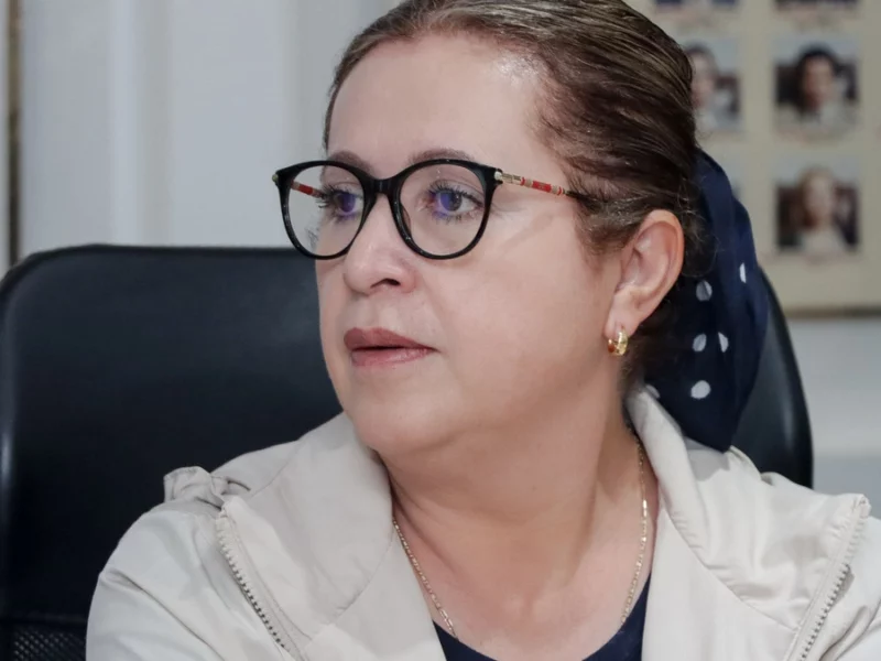 Norma Sirley Reyes Cabrera asumirá diputación federal de Puebla tras salida de Maria Ballesteros