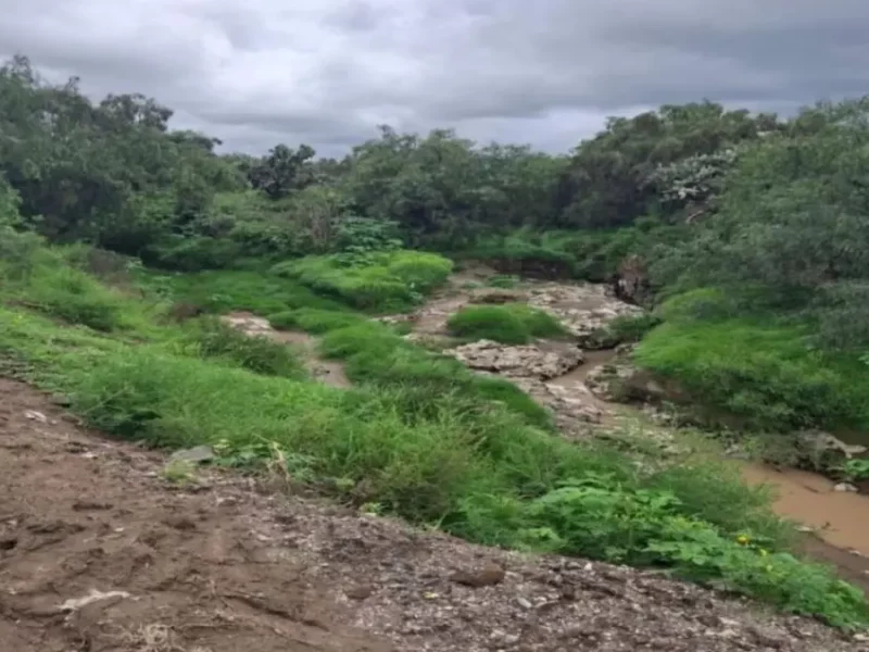 Planea Armenta invertir 180 millones en nuevo proyecto para Acatzingo