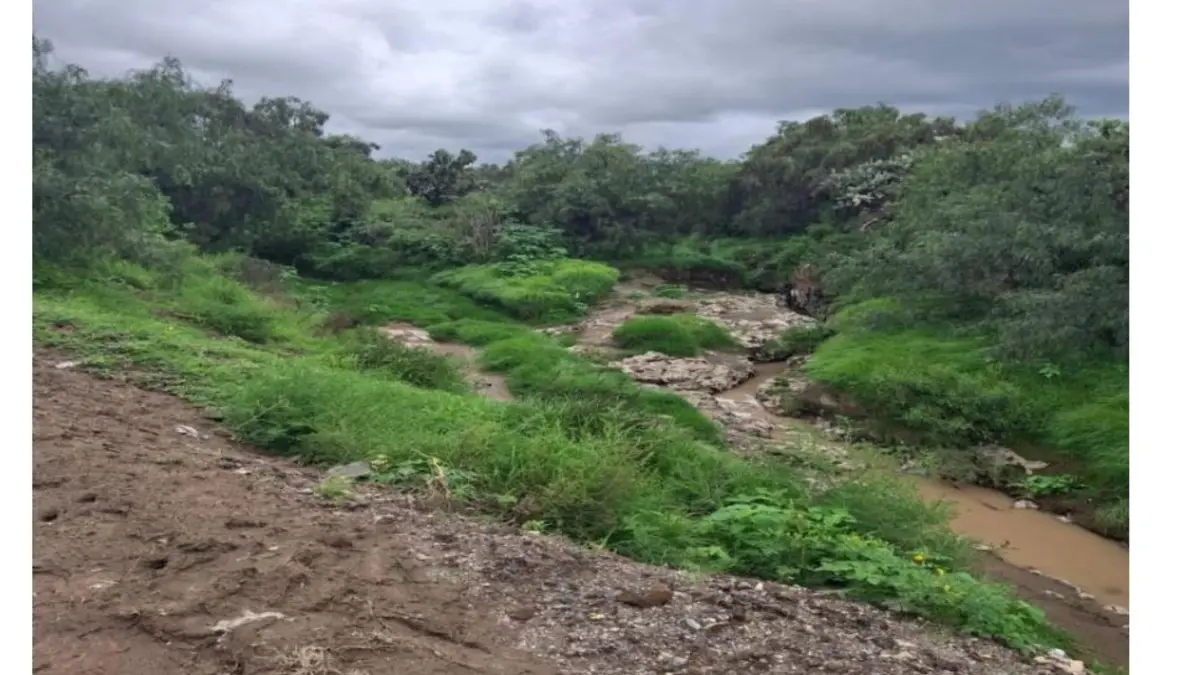 Planea Armenta invertir 180 millones en nuevo proyecto para Acatzingo