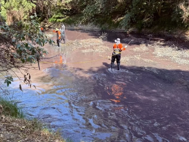 Saneamiento del río Atoyac costará casi 6 mil millones de pesos