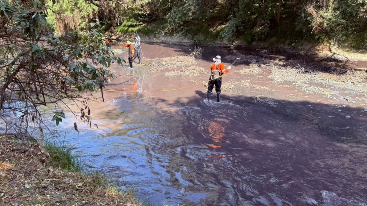 Saneamiento del río Atoyac costará casi 6 mil millones de pesos