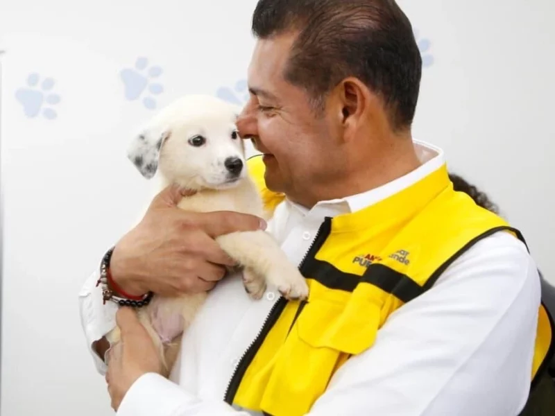 Armenta pide al Congreso de Puebla legislar para regular el comercio de animales