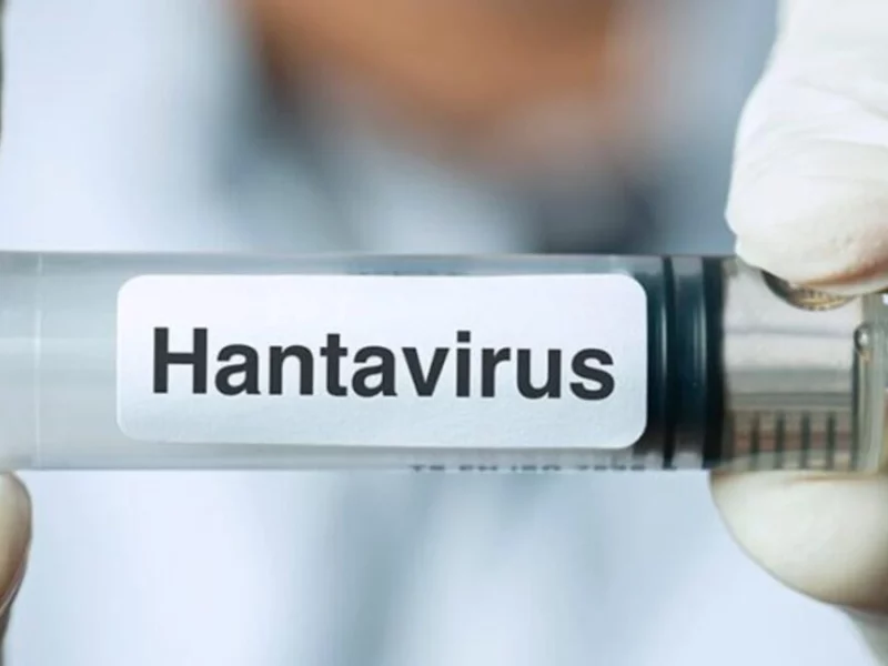 ¿Se han reportado casos de hantavirus en México?