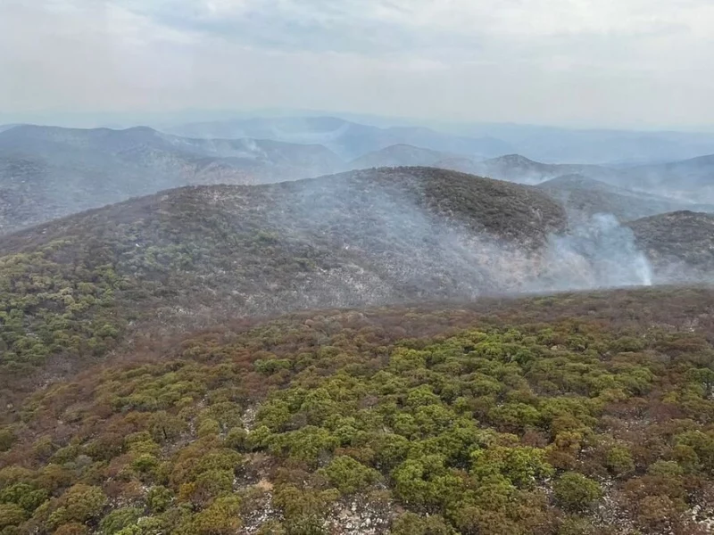 En Puebla, van 172 incendios forestales en 2026, pero solo hay 10 investigaciones