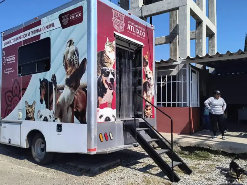 Amar es esterilizar: Ariadna Ayala promueve jornada de cuidado animal en Atlixco.