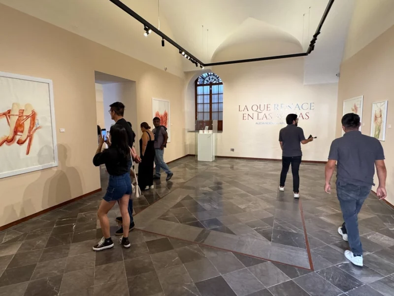 Mismo mundo, distintas miradas: Celebremos el Día Internacional de los Museos