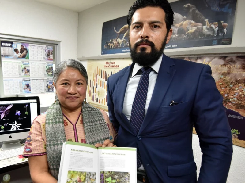 Investigadores BUAP descubren nueva especie de planta carnívora
