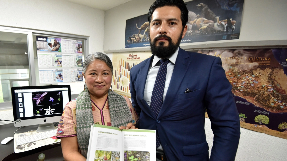 Investigadores BUAP descubren nueva especie de planta carnívora