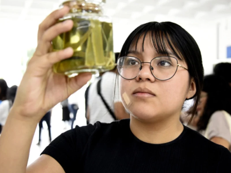Crean en la BUAP productos innovadores a partir de residuos