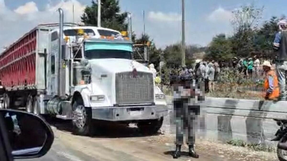 Volcadura de tráiler cargado de ganado desata rapiña en la Puebla-Orizaba