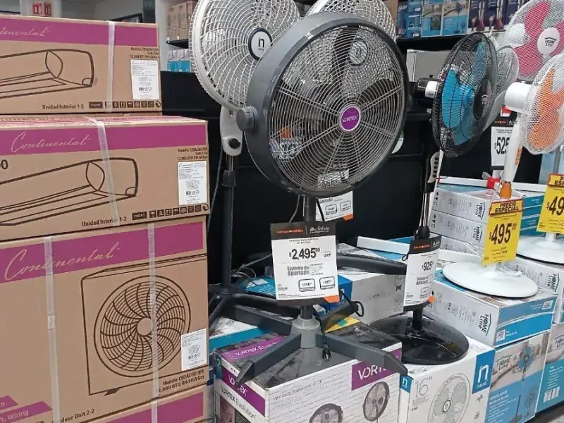 Estos son los únicos modelos de ventiladores avalados por la Profeco