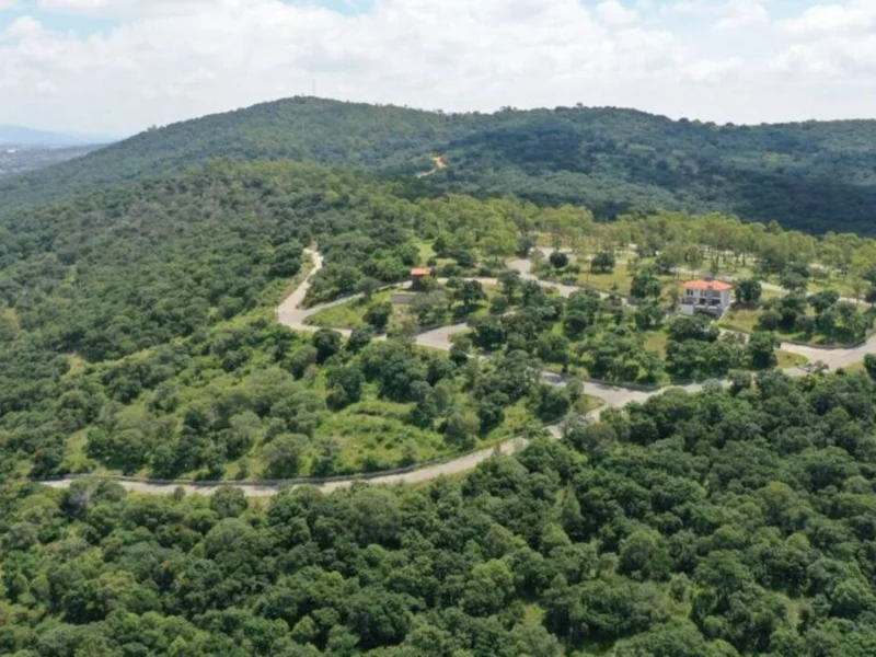 Gobierno de Puebla contratará la construcción del vivero forestal de Flor del Bosque