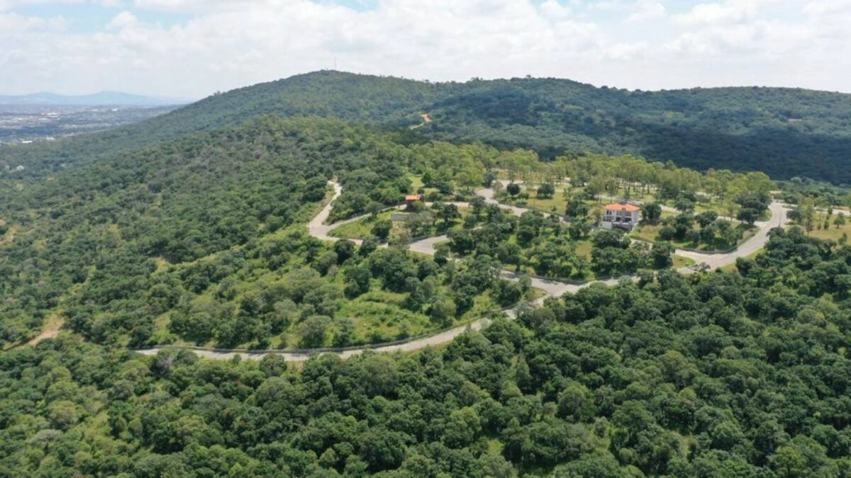 Gobierno de Puebla contratará la construcción del vivero forestal de Flor del Bosque