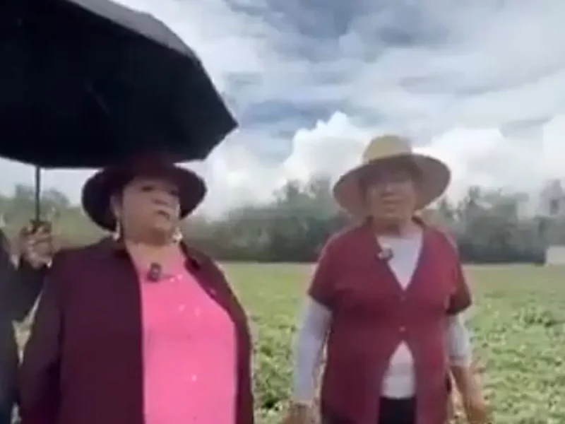 Funan a delegada de Desarrollo Rural en Tepeaca y la bautizan como #LadySombrilla