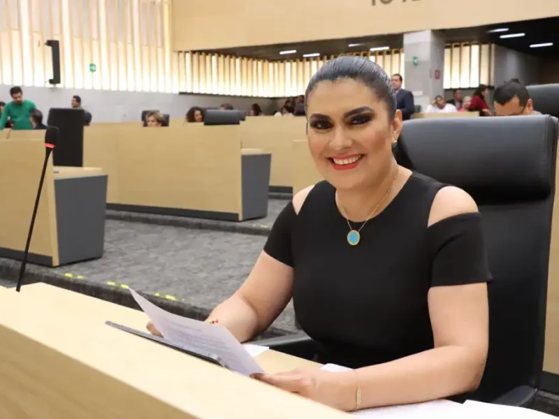 Propone Delfina Pozos acciones de accesibilidad administrativa para personas con discapacidad 