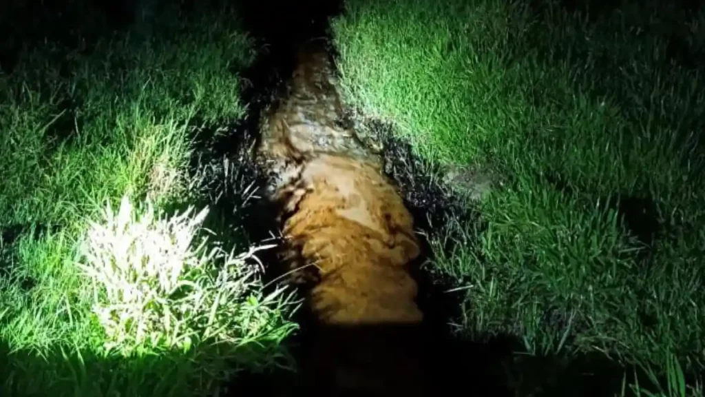 Hidrocarburo derrado por fisuras en un ducto de Pemex en el municipio de Venustiano Carranza.