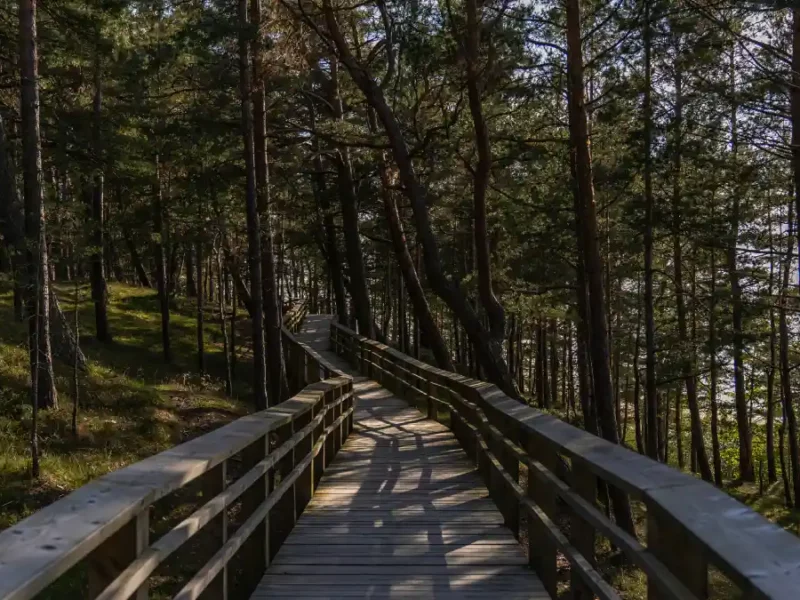 Camino de un parque ecoturístico.