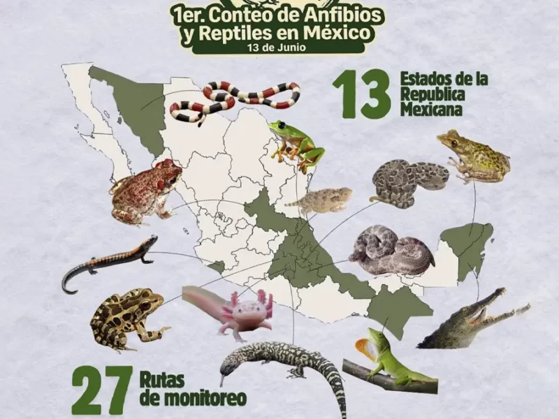 BUAP, partícipe del Primer Conteo Nacional de Anfibios y Reptiles