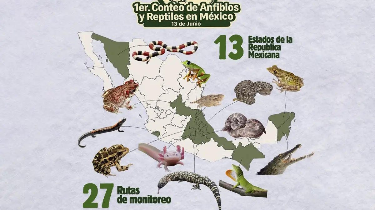 BUAP, partícipe del Primer Conteo Nacional de Anfibios y Reptiles