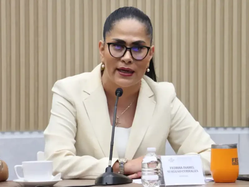 Impulsa diputada Fedrha Suriano seguridad de cuentahabientes, sanción a “montachoques” y certeza electoral