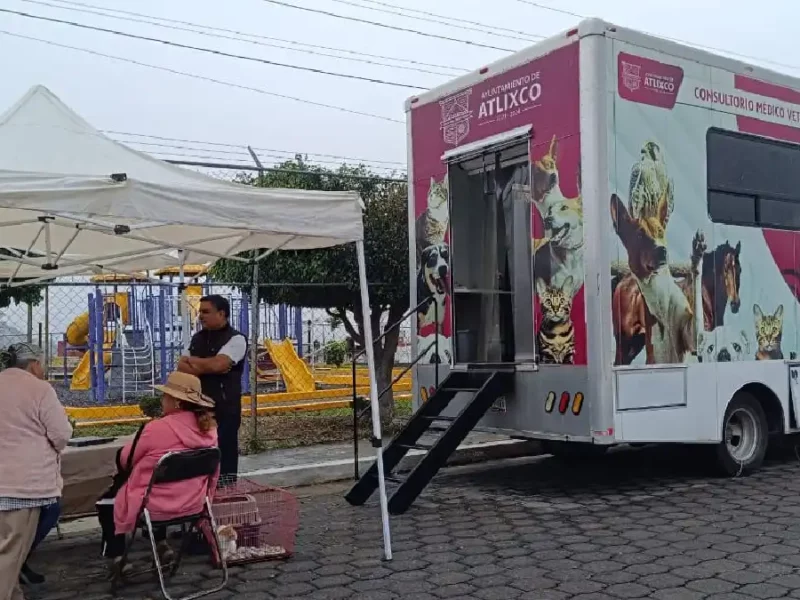 Atlixco impulsa bienestar animal; Ariadna Ayala promueve jornada de esterilización