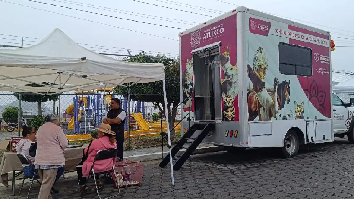 Atlixco impulsa bienestar animal; Ariadna Ayala promueve jornada de esterilización