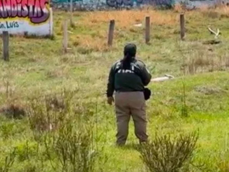 ¿Qué le pasó a la mujer que estaba tirada a un costado del Periférico Ecológico?