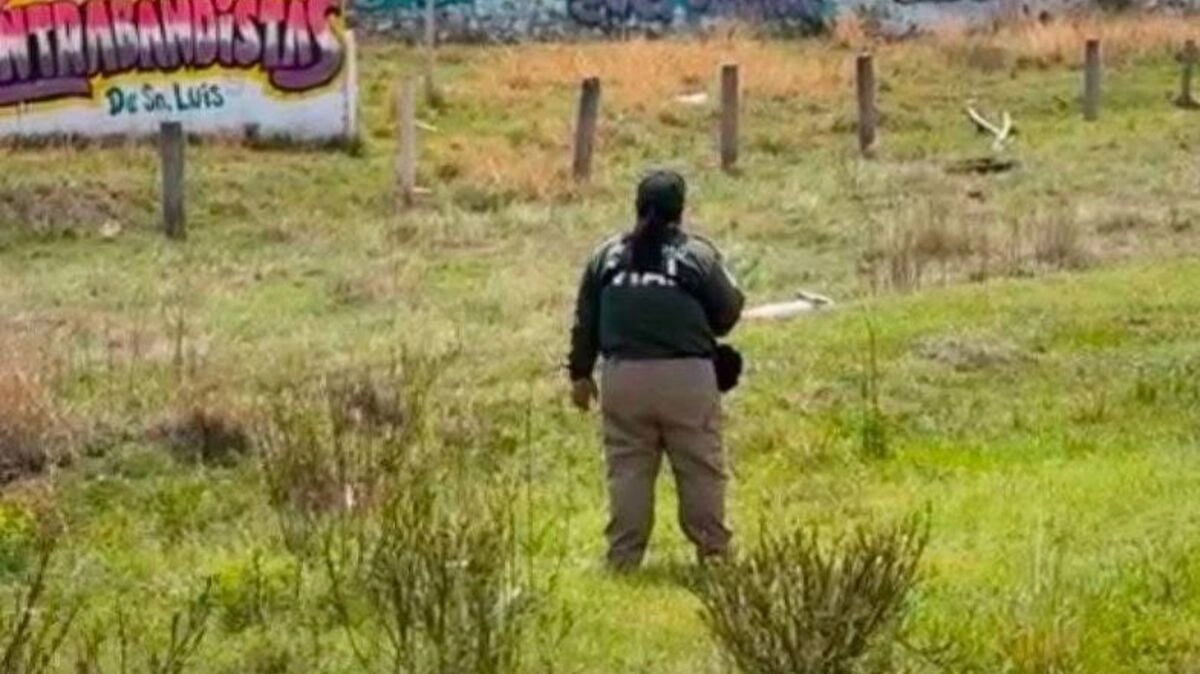 ¿Qué le pasó a la mujer que estaba tirada a un costado del Periférico Ecológico?