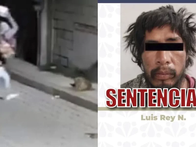 Puebla logra sentencia histórica por maltrato animal: 11 años de cárcel al agresor de “Huesitos”