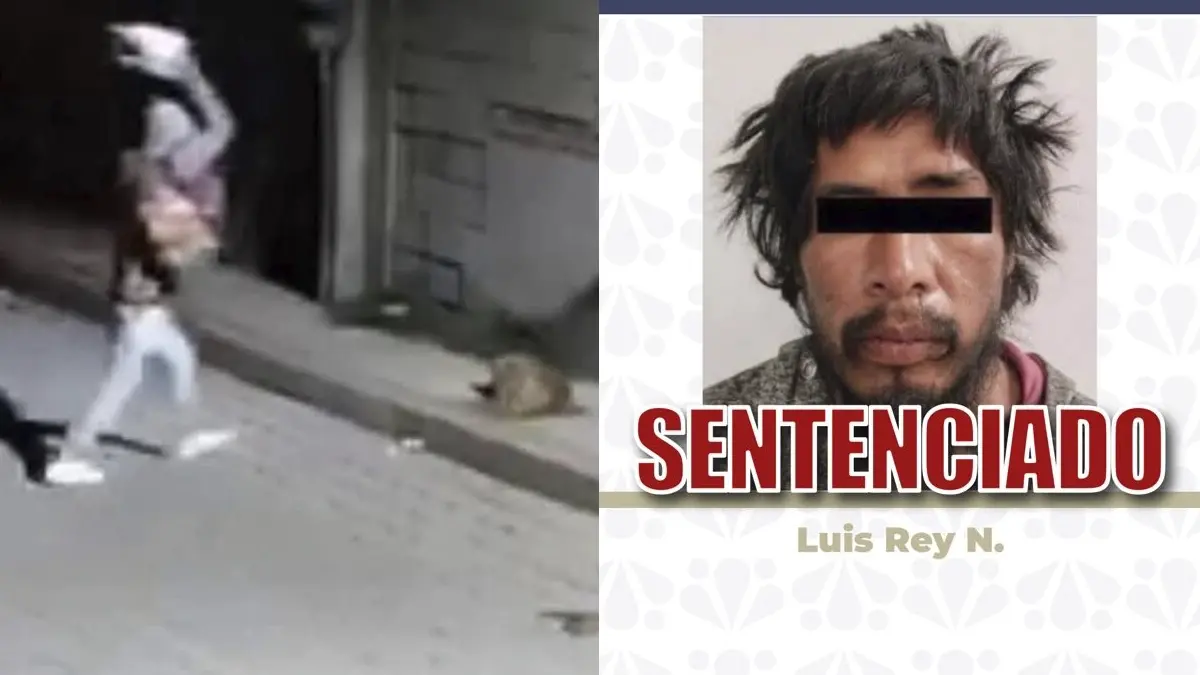 Puebla logra sentencia histórica por maltrato animal: 11 años de cárcel al agresor de “Huesitos”