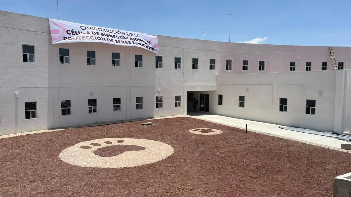 Célula de Bienestar Animal, lista para septiembre; así avanzan las obras 