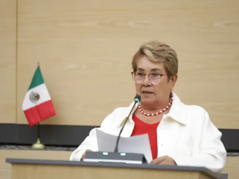 Presenta diputada Modesta Delgado punto de acuerdo para fortalecer el programa de estufas ecológicas en comunidades rurales