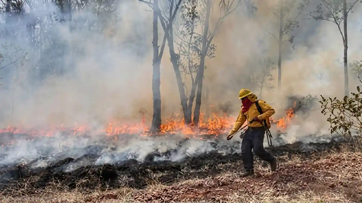 Incendios forestales en Puebla no son provocados intencionalmente, dice Medio Ambiente
