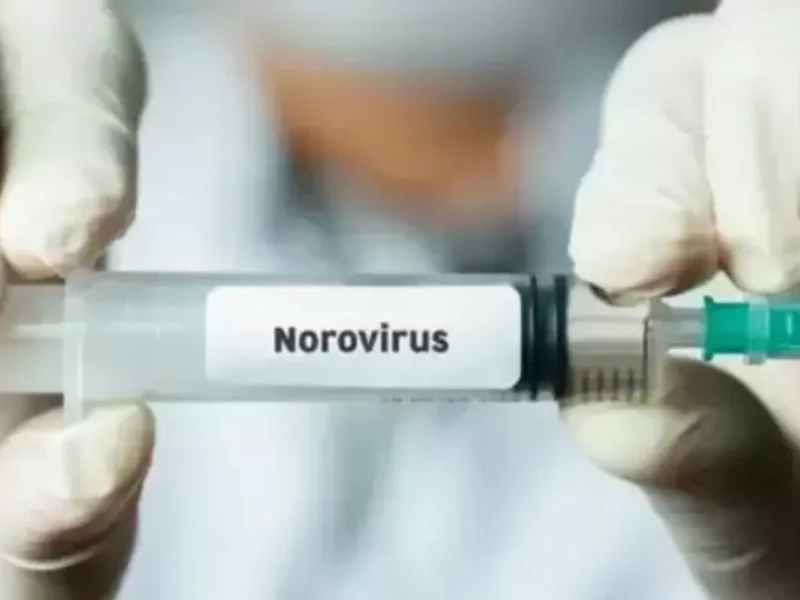 ¿Qué es el Norovirus y cómo se contagia?