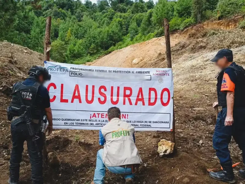 Personal de la Profepa colocando el sello de clausura en un predio de Zacatlán.