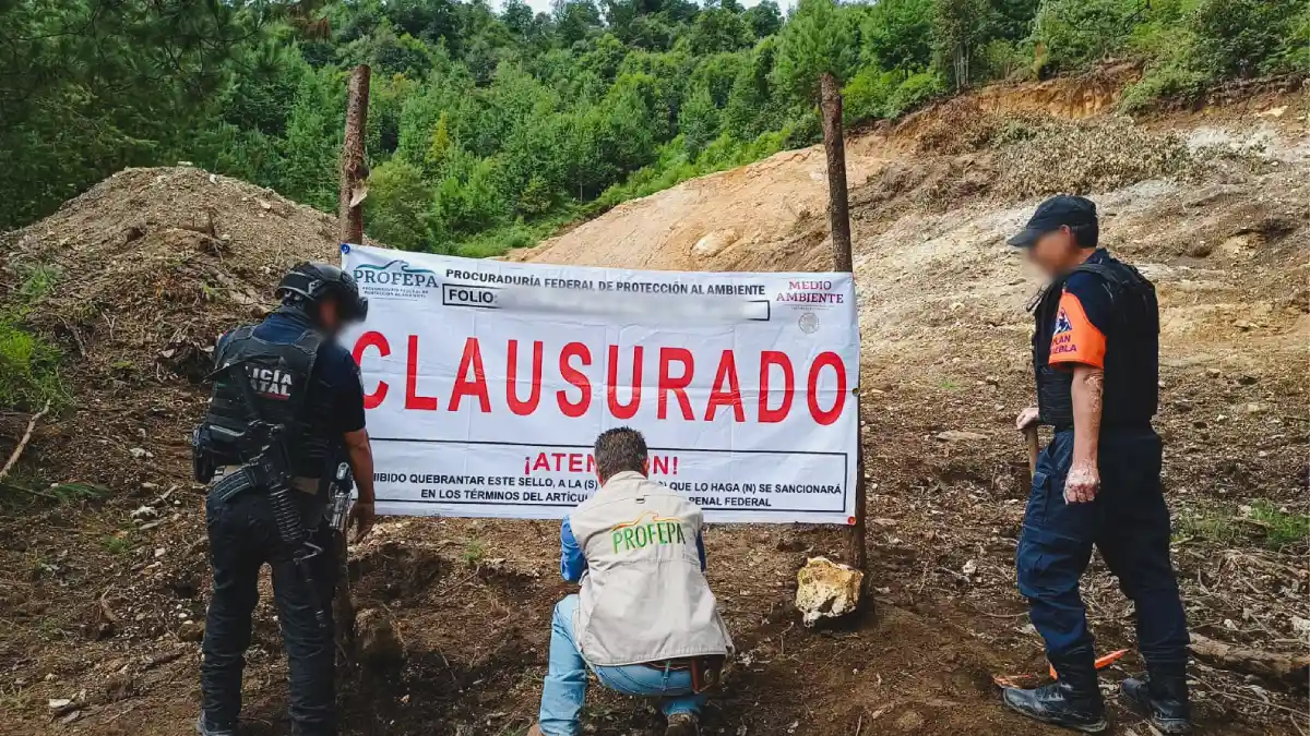 Profepa clausura cambio ilegal de uso de suelo en Zacatlán 