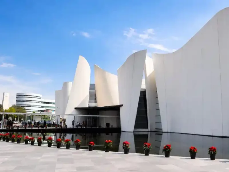 Universidad del Arte Puebla admitirá hasta 180 alumnos; clases no empezarán en el Barroco.