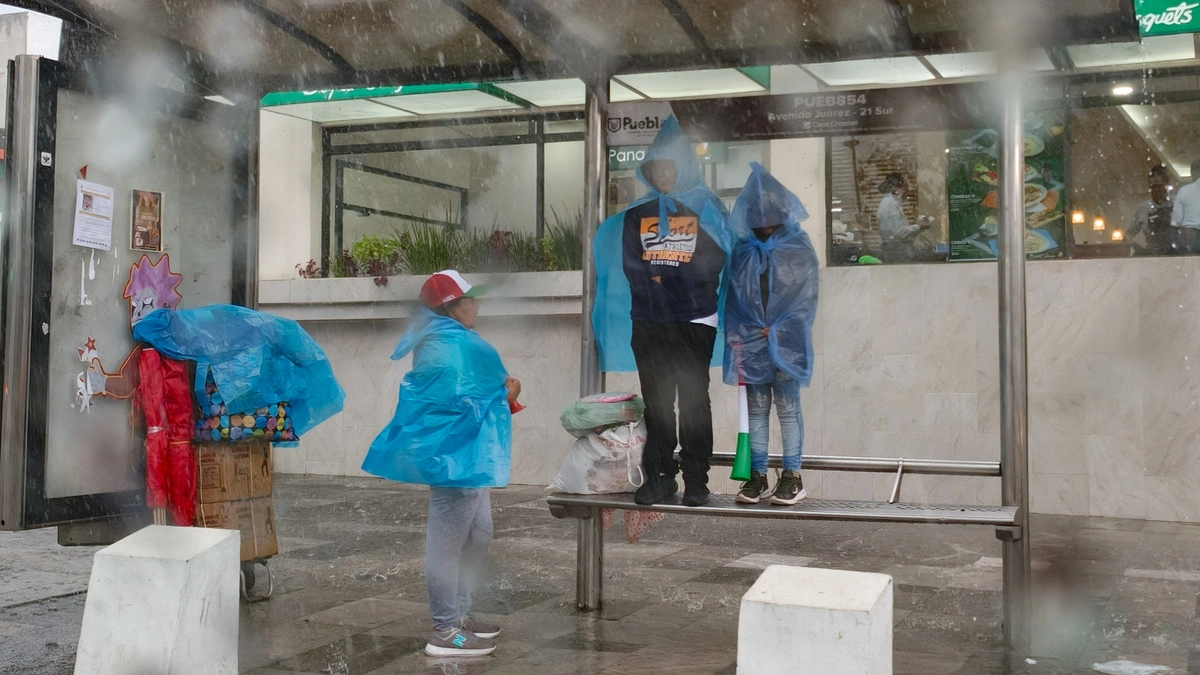 Onda tropical 20: ¿qué estados tendrán lluvias en los próximos días?