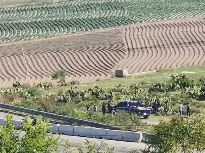 Hallan cuerpos de dos hombres a un costado de la autopista Puebla–Orizaba