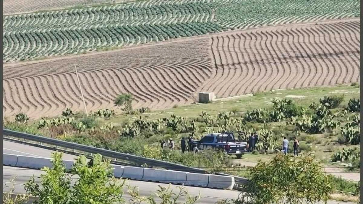 Hallan cuerpos de dos hombres a un costado de la autopista Puebla–Orizaba