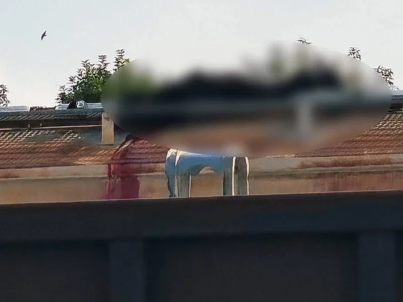 Hallan muerto a guardia de Ferrosur sobre un vagón en Puebla