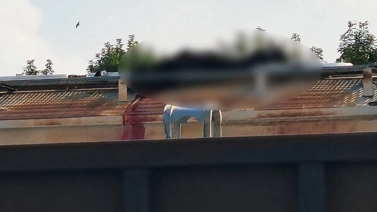 Hallan muerto a guardia de Ferrosur sobre un vagón en Puebla