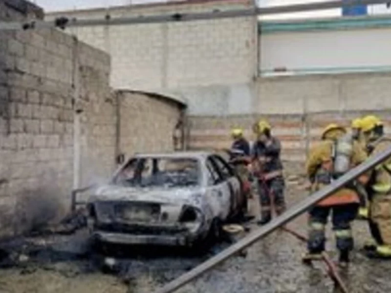 Rescatan conejos tras incendio en predio de San Antonio Abad