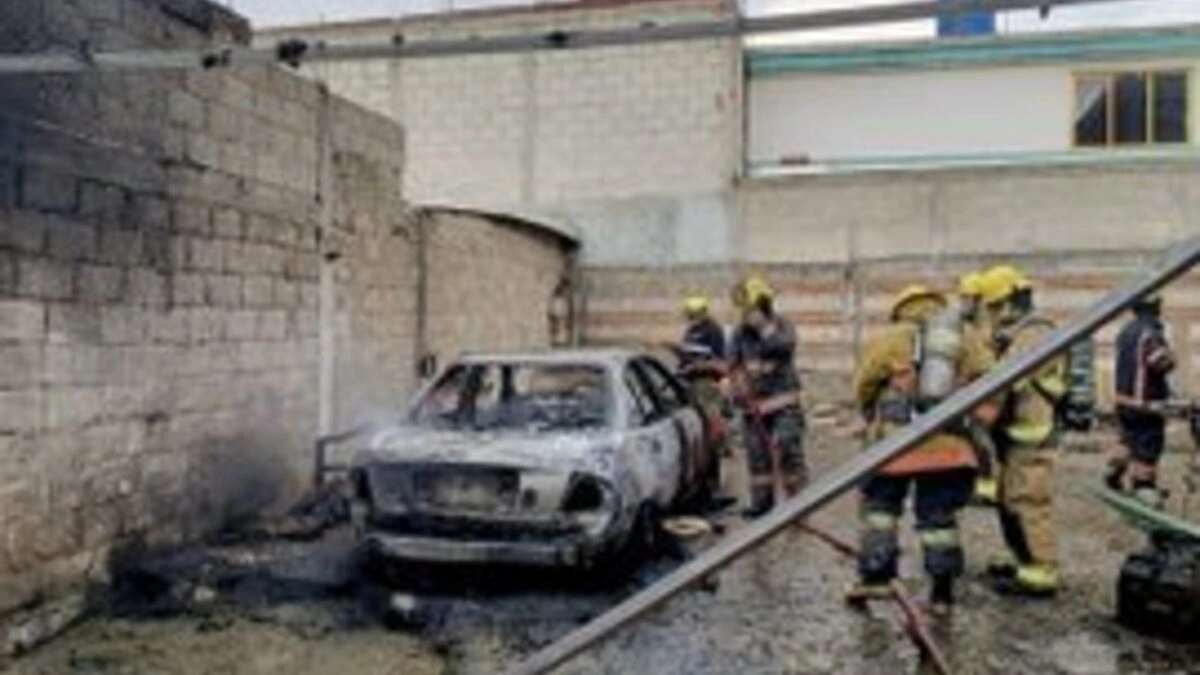 Rescatan conejos tras incendio en predio de San Antonio Abad