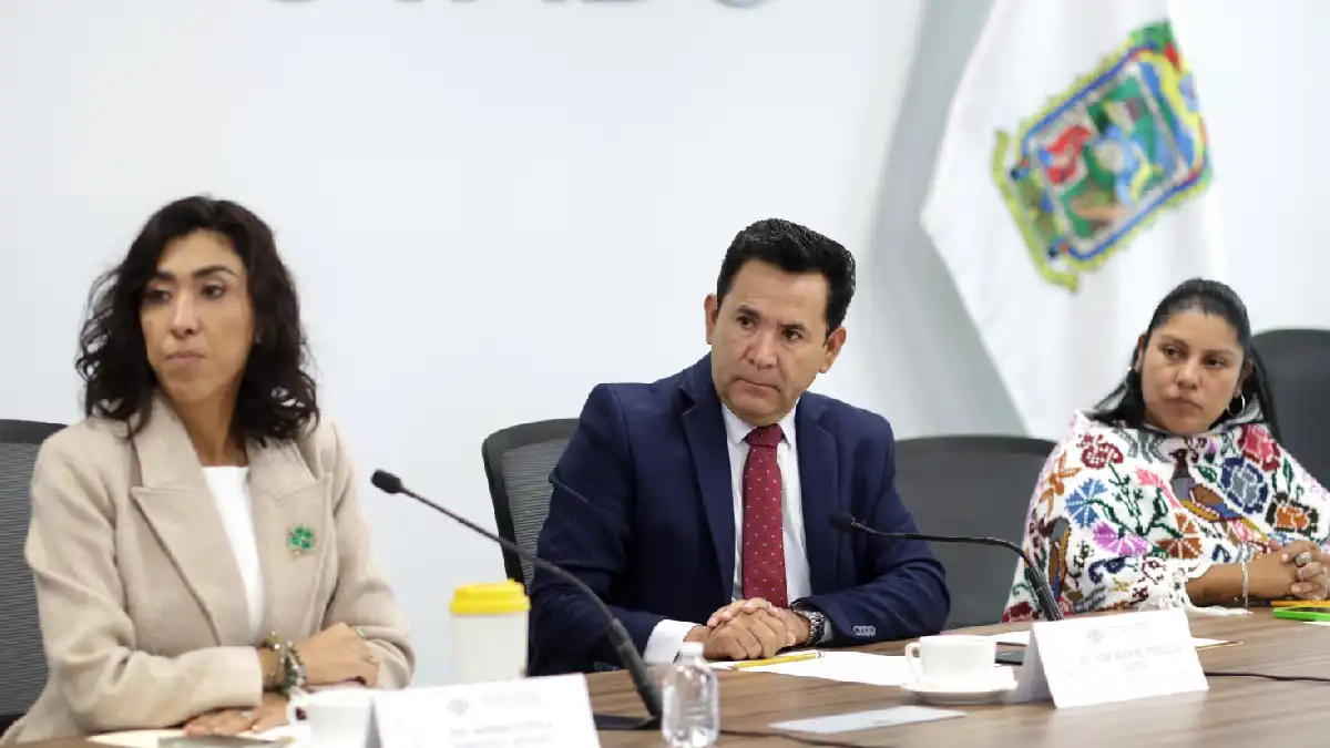 Comisión del Congreso avala acuerdo para proponer a Priscila Ramírez Plata como titular de la Unidad Técnica